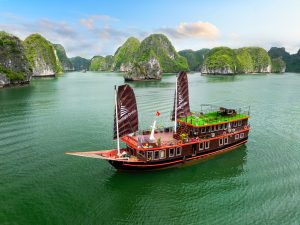 Halong Cozy Cruise 2 days/1 night